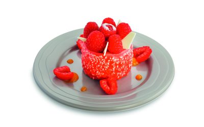 Assiette réutilisable – polypropylène ø18,5cm -taupe