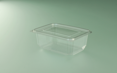 Barquette avec couvercle charnière – 19,14,8×7 cm