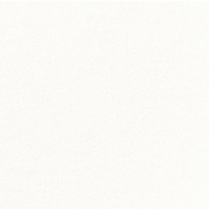 Serviette 40x40 cm 2 plis - ouate lisse - blanc