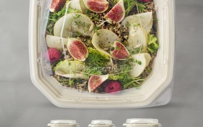 Bagasse couvercle pour boîte 650 ml