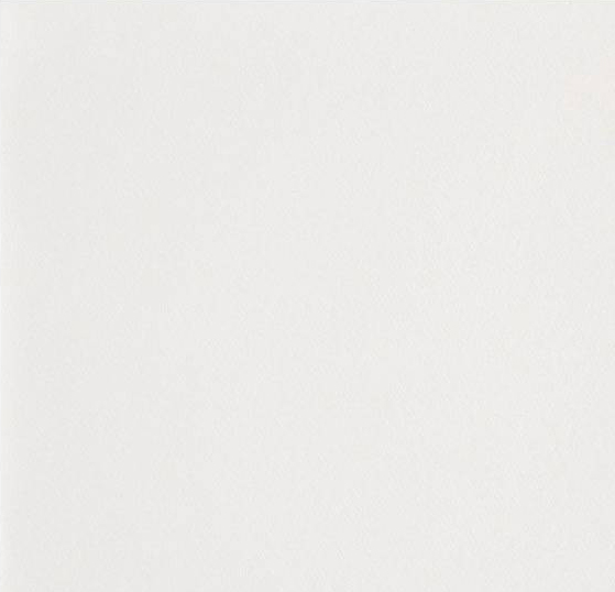 Barquette accompagnement 470 ml - 21,5x14,8x5 cm