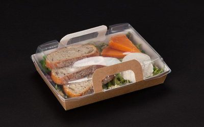 Panier repas vision+ 750 ml – 12,5x18x3 cm