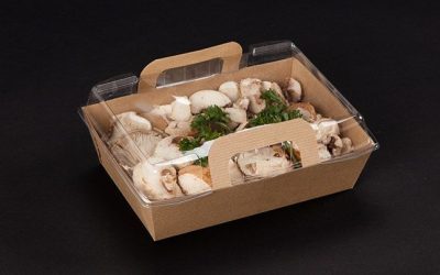 Panier repas vision+ 500 ml – 11,6×11,6 3,95 cm