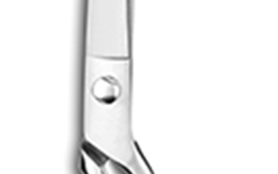 Ciseaux à poisson 24 cm – inox