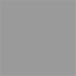 Serviette 40x40 cm 2 plis - ouate lisse - gris
