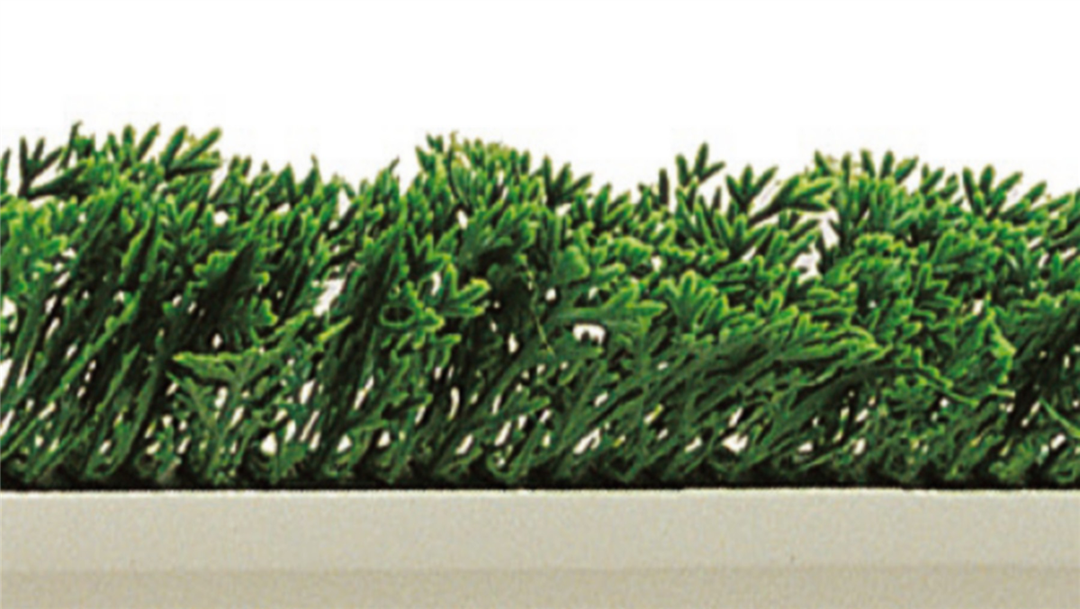 Séparateur de vitrine - cyprès vert - socle blanc