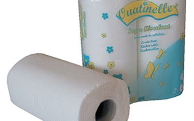 Essuie-tout 50 formats – 2 plis gaufrés collés