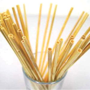Boîte de 150 pailles roseau ø 6 mm - 20 cm