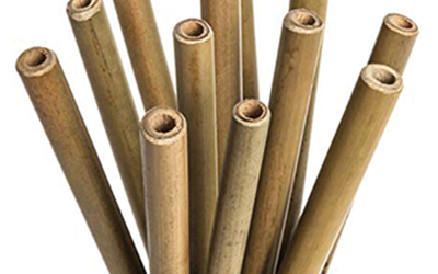 Boîte de 24 pailles bambou ø 10/12 mm