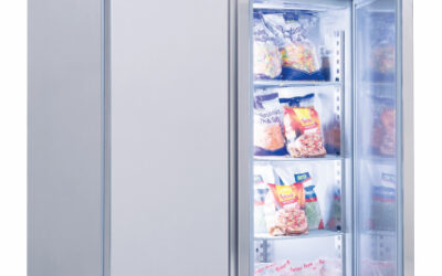 Armoire froide gn2/1 2p -20/-12°c 1403x807x2050mm