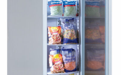 Armoire froide gn2/1 1p -20/-12°c 701x807x2050mm