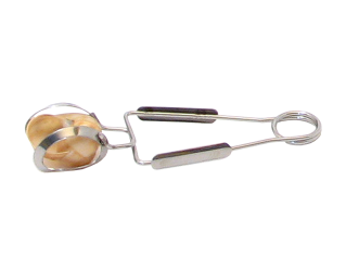 Pince à escargots ROGER – 16×6 cm – Finition brillant