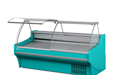 Armoire de maturation viande -1525x1100x1235 mm